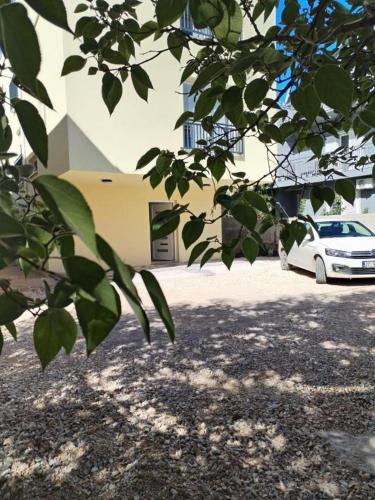 Adriatica single rooms