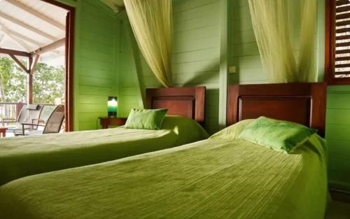 two beds in a room with green walls at Villa Vigie in Deshaies