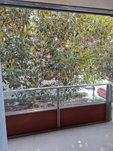 a tree is seen through a glass window at La casa en la playa in Rota