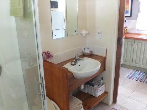 a bathroom with a sink and a shower at Are Moe in Rarotonga