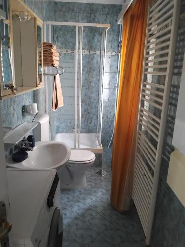 a bathroom with a toilet and a sink and a shower at Wine Garden old apartment with large terrace in Skradin