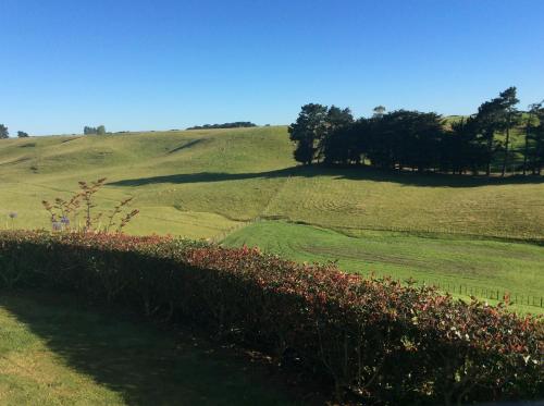 a green field with trees on top of a hill at Ataahua Homestay in Feilding