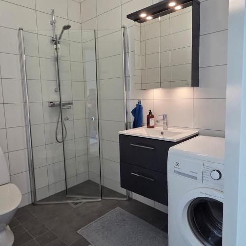 a bathroom with a shower and a washing machine at Tiny Home in a Tiny Town in Hjärup