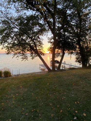 a tree in a field next to a body of water at NEW Sunset Cottage - Lake Lida in Pelican Rapids
