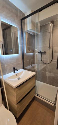 a bathroom with a sink and a shower at Le B - Appartement centre ville en duplex in Rennes