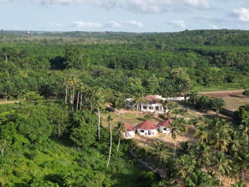an aerial view of a house in the jungle at Hôtel Lucia Grand Lahou in Grand-Lahou