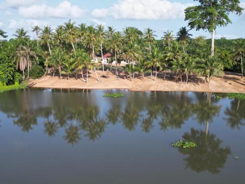 an island with palm trees and a body of water at Hôtel Lucia Grand Lahou in Grand-Lahou