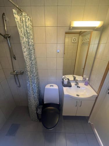 a bathroom with a sink and a toilet and a mirror at Trolltunga Camping in Odda