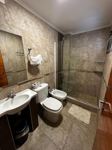 a bathroom with a toilet and a shower and a sink at Complejo Anjana in Federación