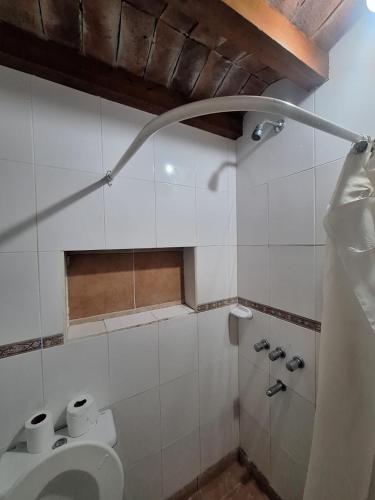 a bathroom with a toilet and a shower at La Rocca in Colón