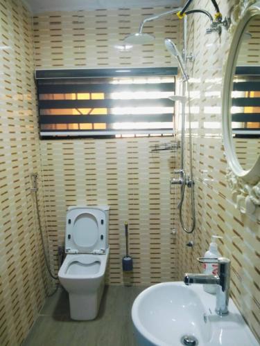 a bathroom with a toilet and a sink at Avapartmentrentals in Okunola