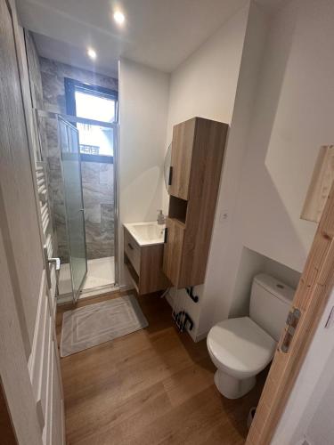 a small bathroom with a toilet and a shower at Aquero Lourdes T2 in Lourdes