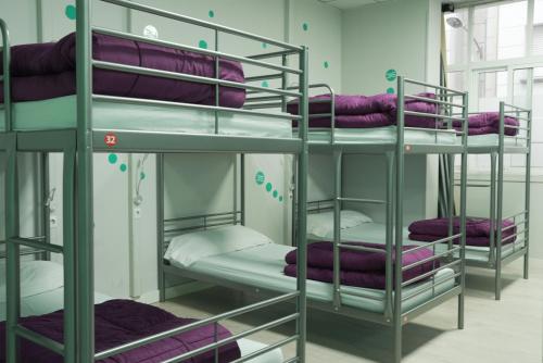 a room with four bunk beds with purple blankets at Augas Quentes Hostel in Ourense