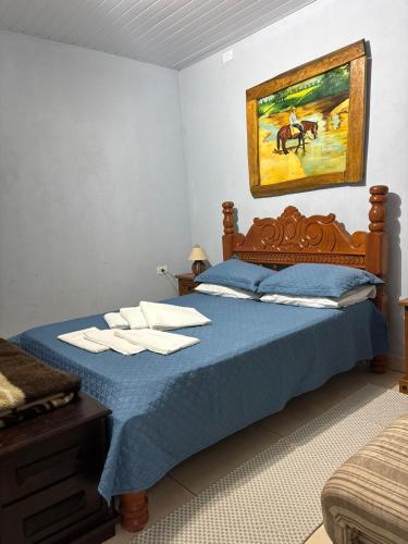 a bedroom with a blue bed with a painting on the wall at Rancho ABA DO BETIONE in Bodoquena