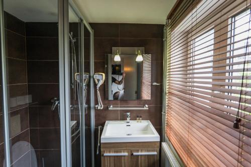 a bathroom with a sink and a shower and a mirror at Le Cecil in Liège