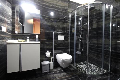 a bathroom with a shower and a toilet and a sink at Luxury Pigeons Cave Suites in Ksamil