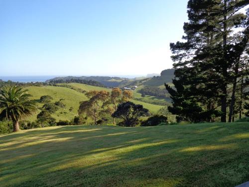a green hillside with trees and a field of grass at Nikau Apartments Waiheke Island in Onetangi