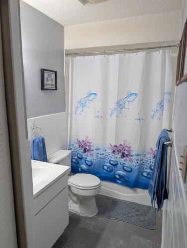 a bathroom with a toilet and a shower curtain with dolphins at Entire One Bedroom Condo with AC, Wifi, & Pool in San Antonio