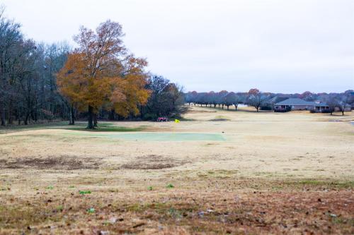 a large open field with a tree in the middle at Golf Course Views, Sunsets & Chill Vibes in Columbus
