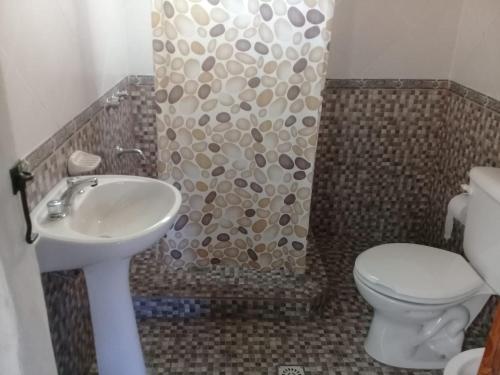 a bathroom with a sink and a toilet and a shower at Cabaña La Escondida in Villa de la Quebrada