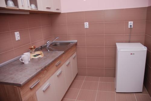 una piccola cucina con lavello e frigorifero di Apartman Milkovic 2 a Sombor