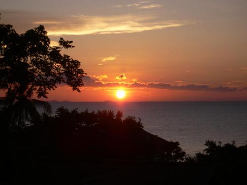 a sunset over the ocean with a tree in the foreground at High Life Bungalow in Haad Yao