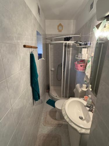 a bathroom with a sink and a toilet and a shower at Levendula ház Vác in Vác