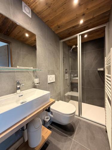 a bathroom with a toilet and a sink and a shower at Denggnhof in Münster