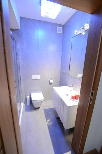 a bathroom with a toilet and a sink and a mirror at Apartament Malta Poznań in Poznań