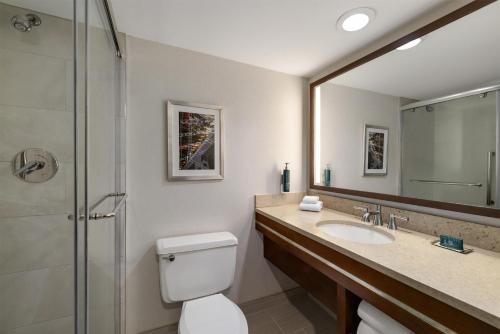 a bathroom with a toilet and a sink and a shower at DoubleTree by Hilton Pittsburgh-Green Tree in Pittsburgh