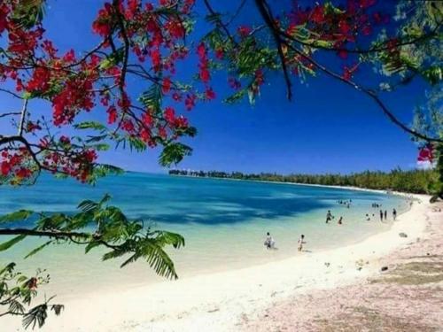 Un paisaje natural cerca of the bed and breakfast