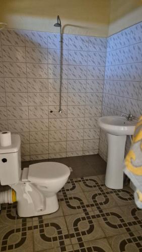 a bathroom with a toilet and a sink at Terema Lodge in Kanuma