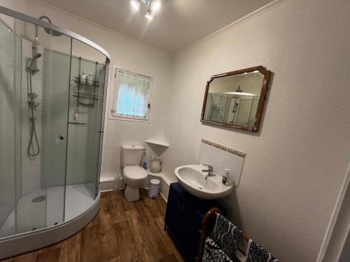 a bathroom with a shower and a sink and a toilet at Georgie et Margot - Chambres d'hotes et Gite in La Châtre-Langlin