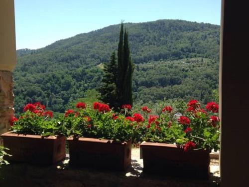 a group of flowers in pots on a window sill at Agriturismo Villa Dauphiné in Bagno a Ripoli