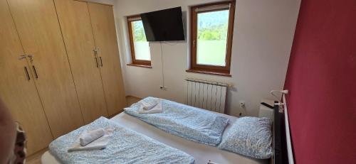 two twin beds in a room with two windows at Apartment Pepca in Čezsoča