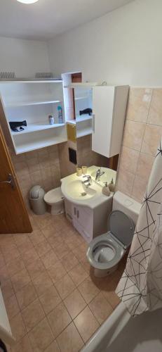 a bathroom with a toilet and a sink at Apartment Pepca in Čezsoča