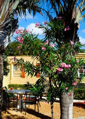 Taman di luar Atlantic Hideaway