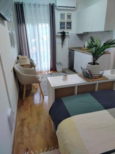 a small room with a bed and a kitchen at Studio SIESTA in Vrnjačka Banja