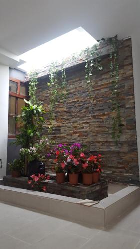 a group of plants in pots on a wall at Rivière Boutique Hotel in Medellín