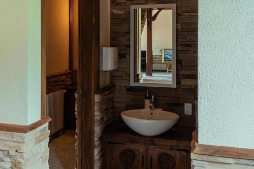 a bathroom with a sink and a mirror at 山あいの静かなログハウス Quiet Mountain Log House with Indoor Hot Spring Bath in Gujo