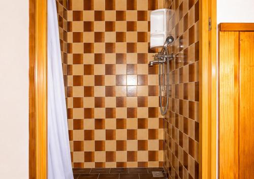 a bathroom with a shower with a checkered wall at Chata Růžová in Růžová