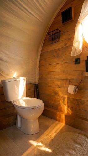 a bathroom with a toilet in a wooden wall at Nomad by Hora cu Brazi in Zărneşti