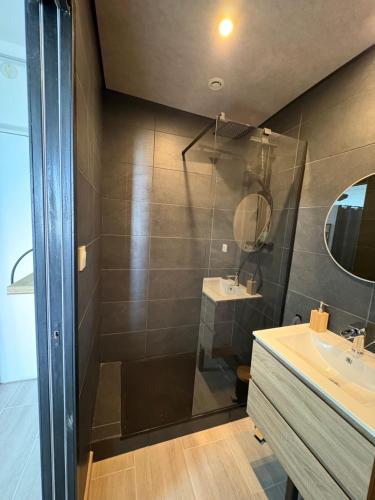 a bathroom with a shower and a sink at Le petit Vittel in Vittel