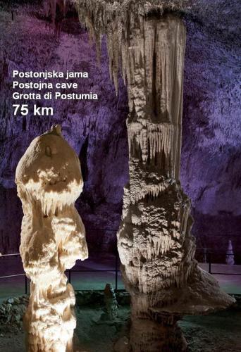 Příroda nedaleko apartmánu