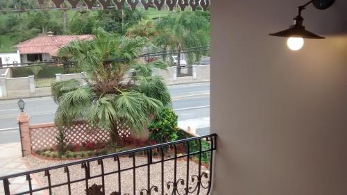 a balcony with a palm tree on a street at Edelweiss Pomerode in Pomerode