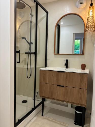 a bathroom with a shower and a sink and a mirror at Nid d argile - appartement neuf - 650m des Thermes - 1er étage in Salins-les-Bains