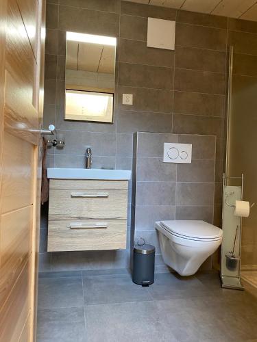 a bathroom with a toilet and a sink and a mirror at Le Cras in Soubey