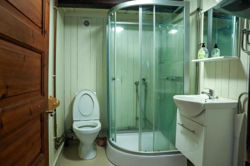 a bathroom with a shower and a toilet and a sink at Luthagård in Äng