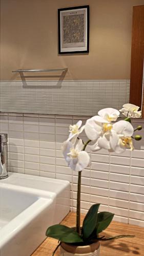 Aquamarina Apartment