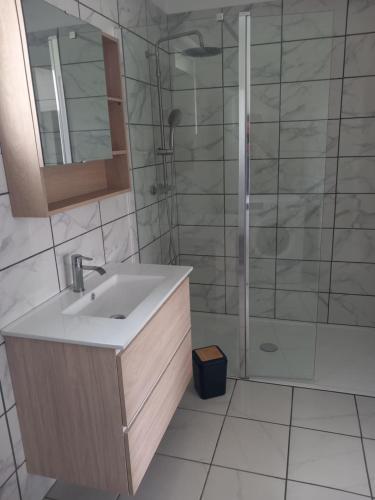 a bathroom with a sink and a shower at L'Olivier in Les Mazures